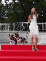 St Petersburg, Russia, 2022 - Dogs dressed up for the fashion show at Petshop Days festival photo