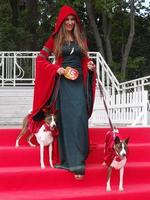 St Petersburg, Russia, 2022 - Dogs dressed up for the fashion show at Petshop Days festival photo