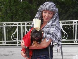 St Petersburg, Russia, 2022 - Dogs dressed up for the fashion show at Petshop Days festival photo