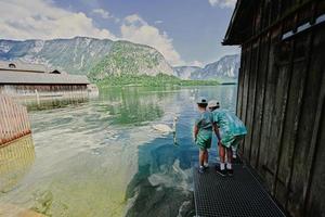 los hermanos alimentan al cisne en el lago de los alpes austriacos en hallstatt, austria. foto