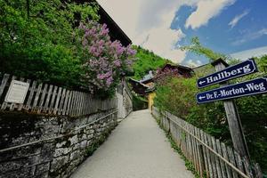 camino con una valla de madera en hallstatt, salzkammergut, austria. foto