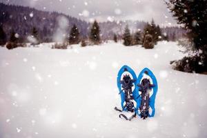 Blue snowshoes in fresh show photo