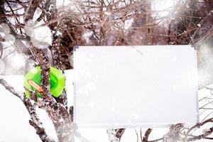 whiteboard on winter tree photo