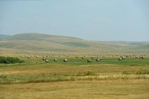 summer landscape view photo