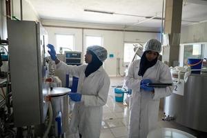 equipo de mujeres de negocios en la empresa local de producción de queso foto