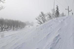 vista del paisaje de invierno foto