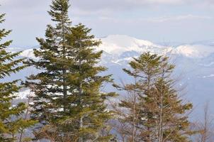 Winter landscape view photo