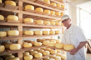 fabricante de queso en el almacenamiento con estantes llenos de queso de vaca y cabra foto