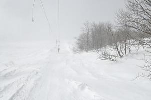 vista del paisaje de invierno foto