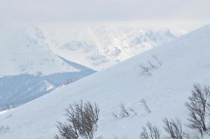 Winter landscape view photo