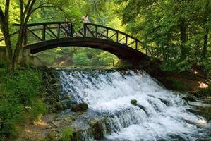 wooden bring over small waterfall photo