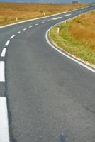 road through the green field photo