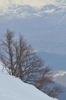 vista del paisaje de invierno foto