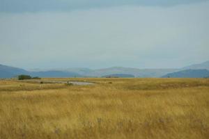 summer landscape view photo