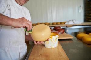 fabricante de queso en la fábrica de producción local foto