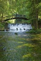 wooden bring over small waterfall photo