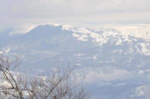 Winter landscape view photo