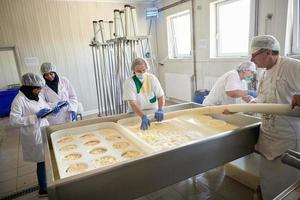 Workers preparing raw milk for cheese production photo