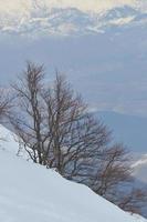 vista del paisaje de invierno foto