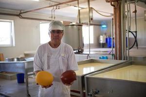 Cheese production cheesemaker  working in factory photo