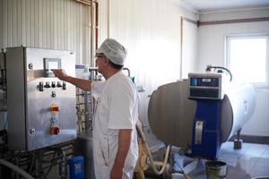 Cheese production cheesemaker  working in factory photo