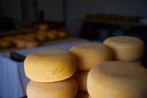 Cheese factory production shelves with aging old cheese photo