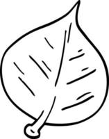 line drawing cartoon leaf vector