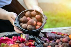 Homeowner is slicing rotten fruits and vegetables on wooden table in the backyard to mix together for composting. Soft and selective focus on fruits, concept for waste management at home. photo