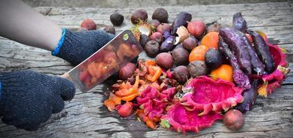 Homeowner is slicing rotten fruits and vegetables on wooden table in the backyard to mix together for composting. Soft and selective focus on fruits, concept for waste management at home. photo