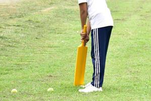 An asian cricket player is holding a bat in the green grass court. photo