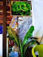 Colorful Cafe Dining Area photo