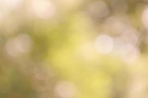 Bokeh and light through autumn leaves. Backdrop photo