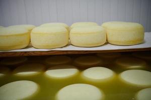 Cheese factory production shelves with aging old cheese photo