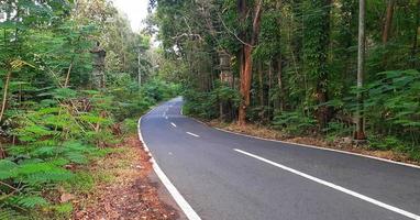A village road in the middle of a deserted forest. This road is the route to the Sermo reservoir in Yogyakarta, Indonesia. photo