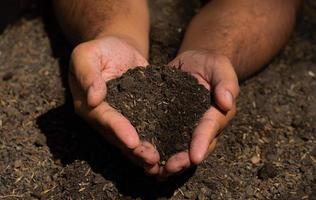 las manos sostienen el suelo con semillas de plantas. fotos de la naturaleza para el medio ambiente y los agricultores