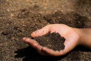 las manos sostienen el suelo con semillas de plantas. fotos de la naturaleza para el medio ambiente y los agricultores