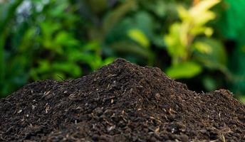 fertile soil background for environmental theme photo