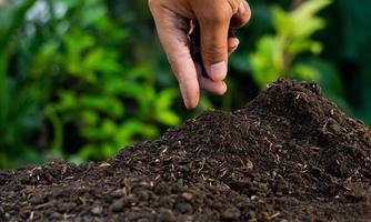 farmer's hand planting plant seeds photo