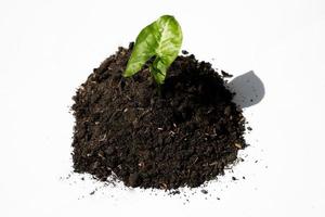 mounds of fertile dark soil for the environment. background for farmer and ecology theme design photo