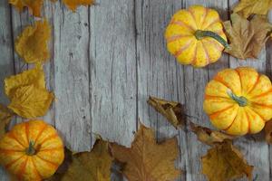 Autumn corner border of orange and white pumpkins. Fall corner border with frosty orange pumpkins on a rustic white wood banner background. Overhead view with copy space. photo