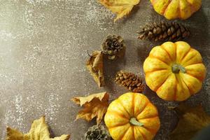 Autumn corner border of orange and white pumpkins. Fall corner border with frosty orange pumpkins on a rustic white wood banner background. Overhead view with copy space. photo