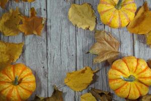 Autumn corner border of orange and white pumpkins. Fall corner border with frosty orange pumpkins on a rustic white wood banner background. Overhead view with copy space. photo