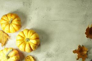 Autumn corner border of orange and white pumpkins. Fall corner border with frosty orange pumpkins on a rustic white wood banner background. Overhead view with copy space. photo