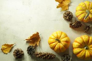 Autumn corner border of orange and white pumpkins. Fall corner border with frosty orange pumpkins on a rustic white wood banner background. Overhead view with copy space. photo