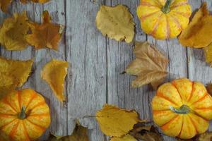 Autumn corner border of orange and white pumpkins. Fall corner border with frosty orange pumpkins on a rustic white wood banner background. Overhead view with copy space. photo