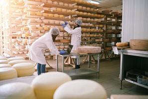 equipo de mujeres de negocios en la empresa local de producción de queso foto