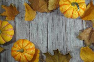 Autumn corner border of orange and white pumpkins. Fall corner border with frosty orange pumpkins on a rustic white wood banner background. Overhead view with copy space. photo