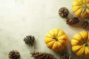 Autumn corner border of orange and white pumpkins. Fall corner border with frosty orange pumpkins on a rustic white wood banner background. Overhead view with copy space. photo