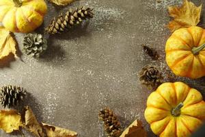 Autumn corner border of orange and white pumpkins. Fall corner border with frosty orange pumpkins on a rustic white wood banner background. Overhead view with copy space. photo