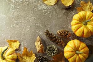 Autumn corner border of orange and white pumpkins. Fall corner border with frosty orange pumpkins on a rustic white wood banner background. Overhead view with copy space. photo